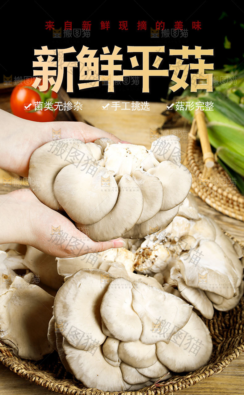 平菇详情页设计