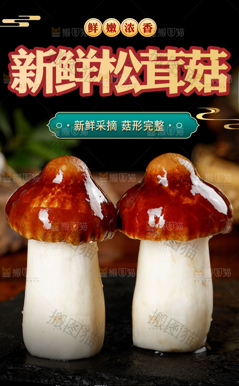 松茸菇详情页
