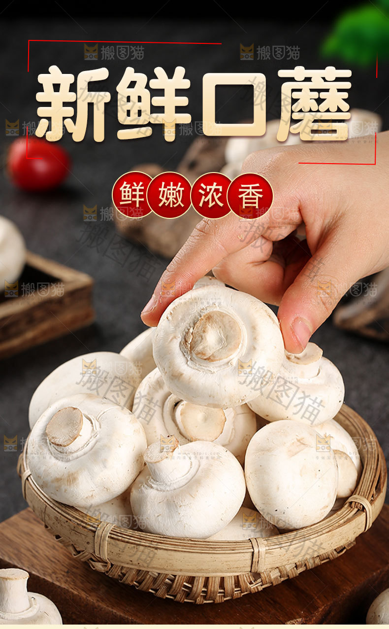 新鲜口蘑详情页