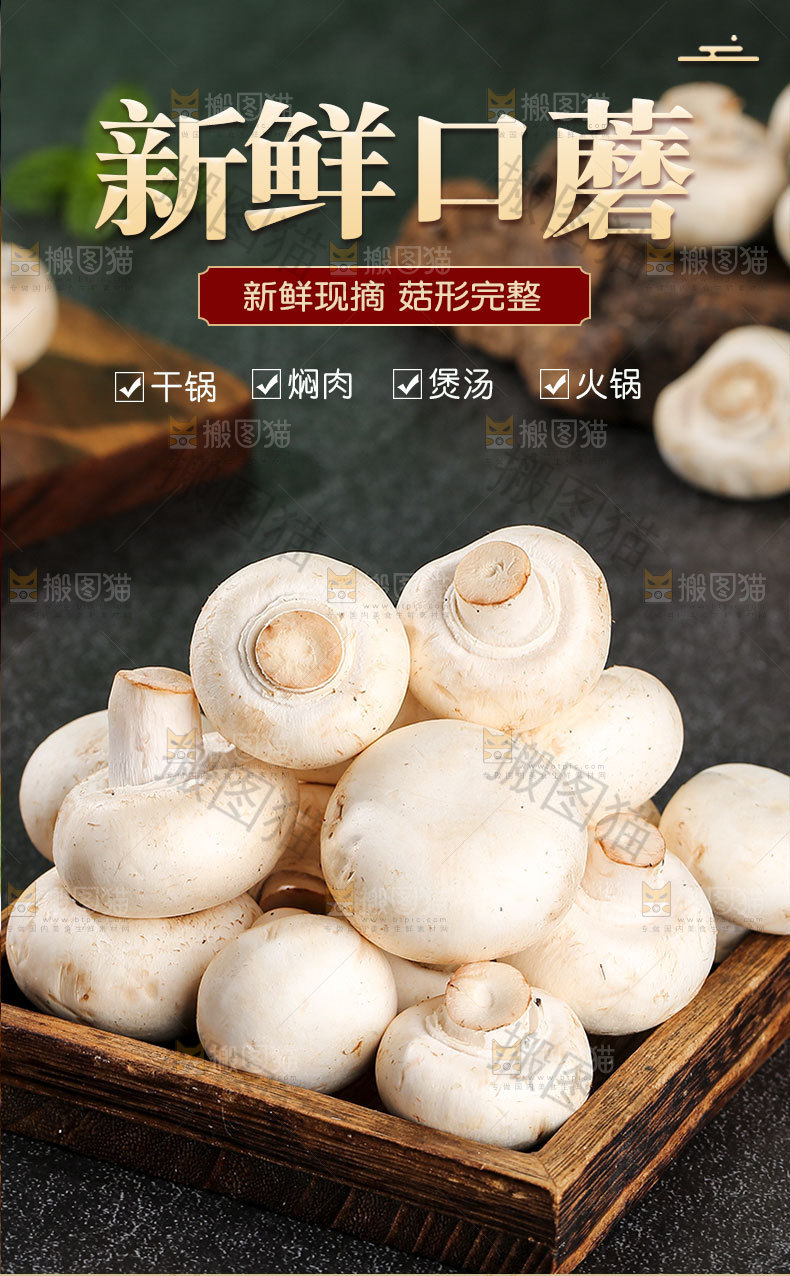 口蘑详情页