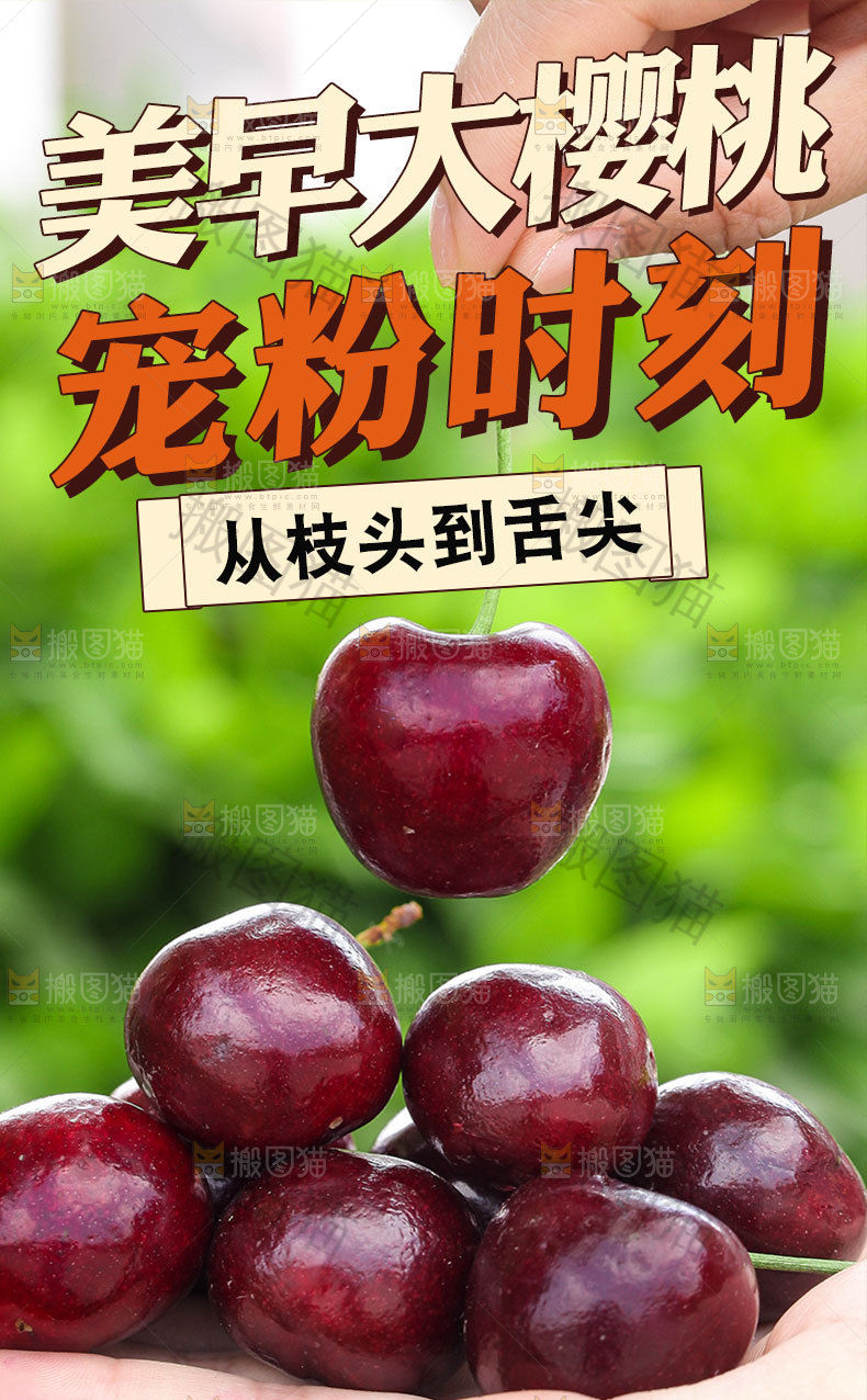 美早樱桃详情页