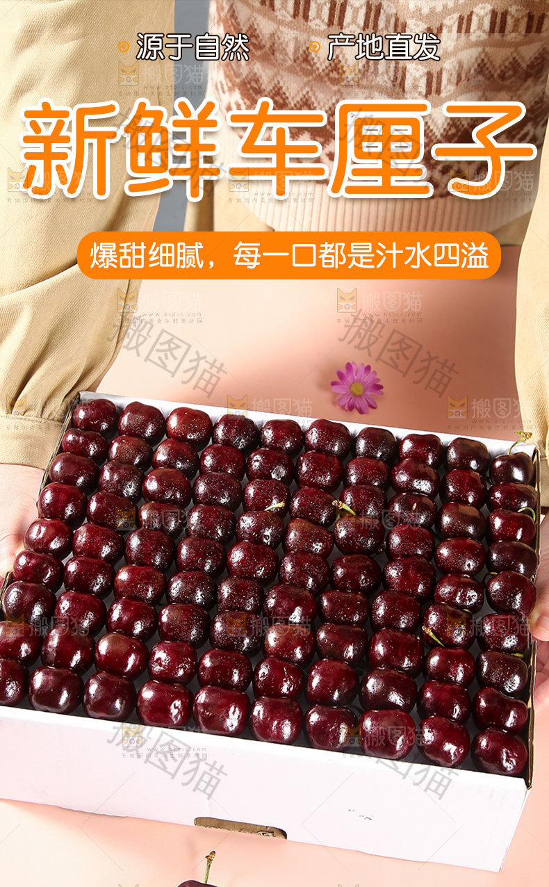 新鲜车厘子详情页
