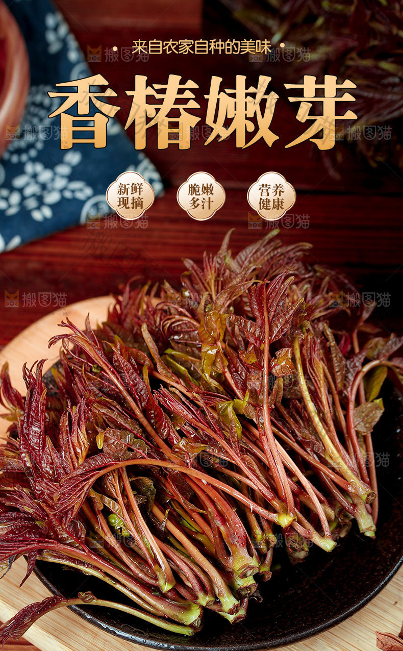 香椿嫩芽详情页