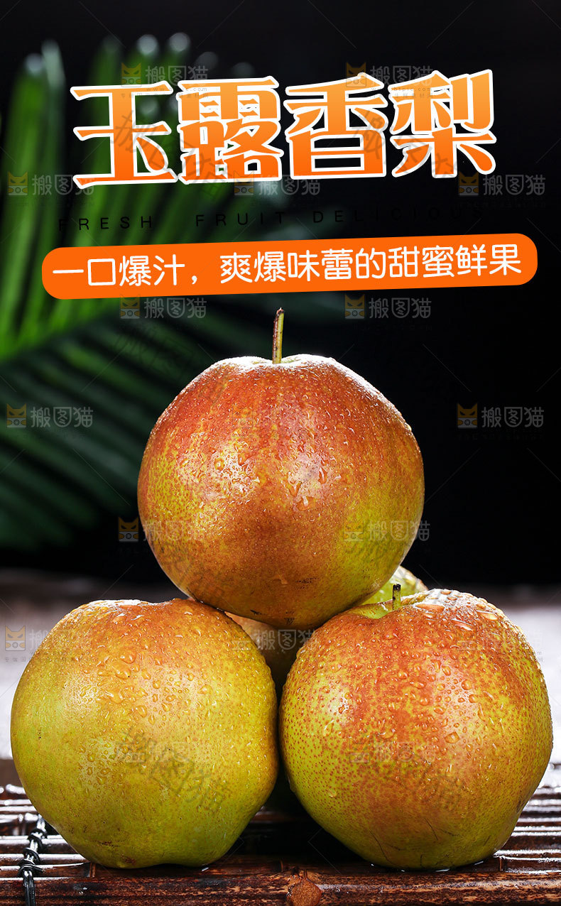 新鲜玉露香梨详情