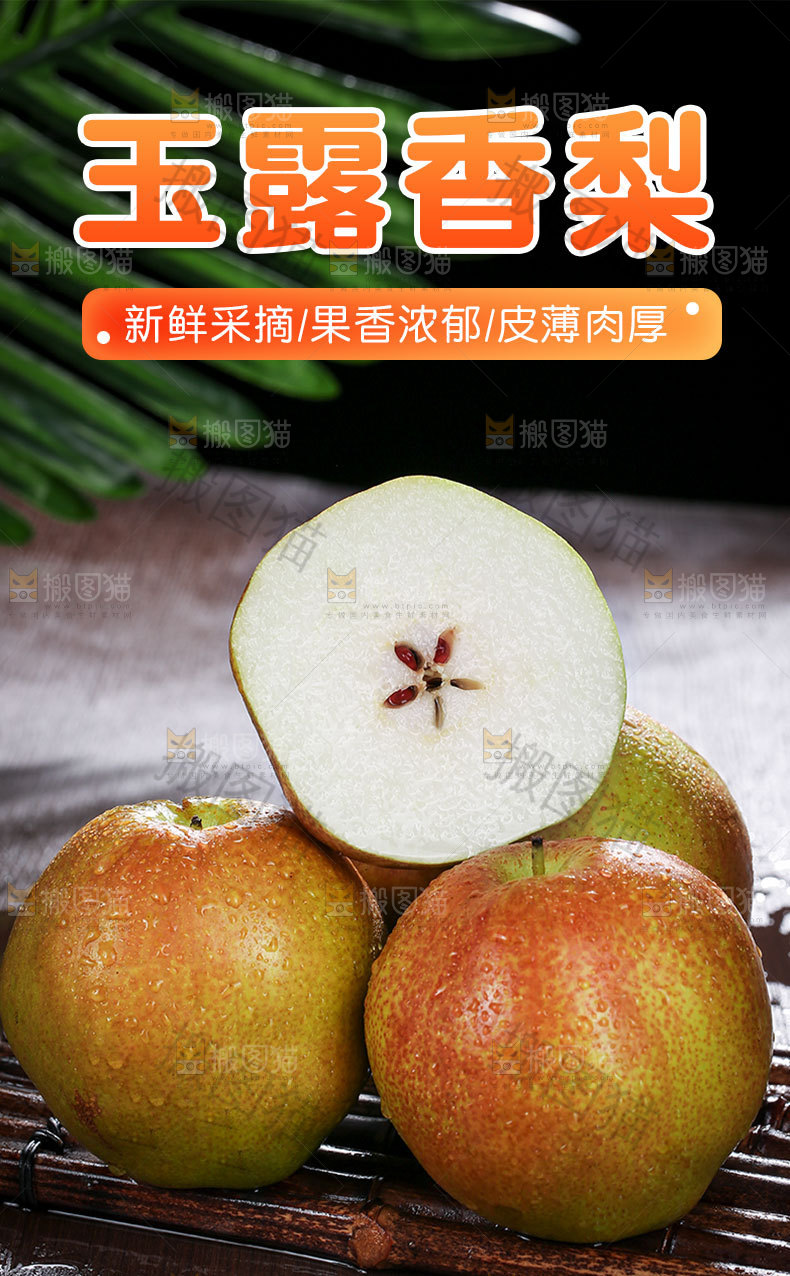 玉露香梨详情