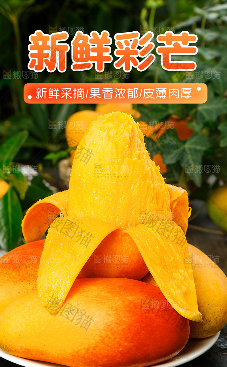彩芒详情页设计
