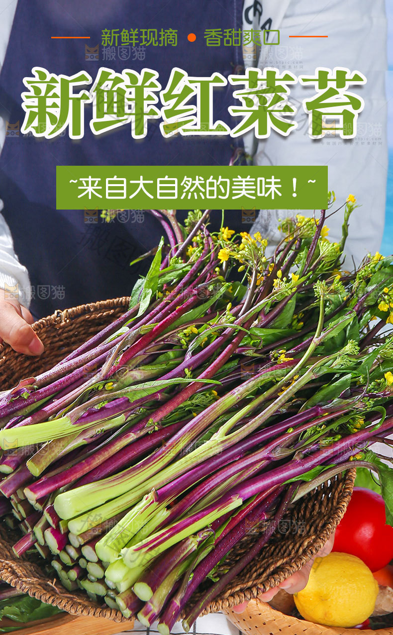 新鲜红菜苔详情页