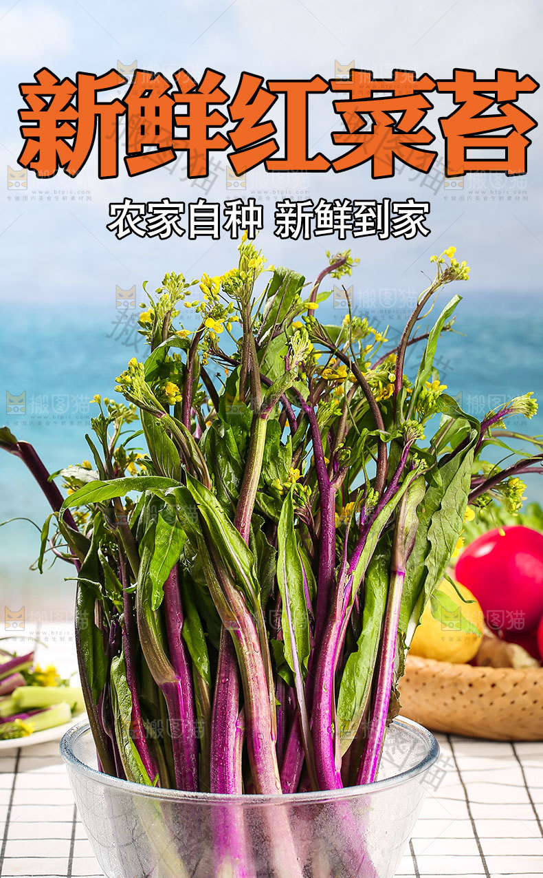 新鲜红菜苔详情页