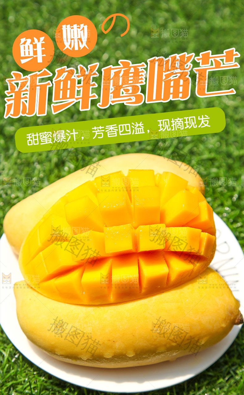 鹰嘴芒详情页