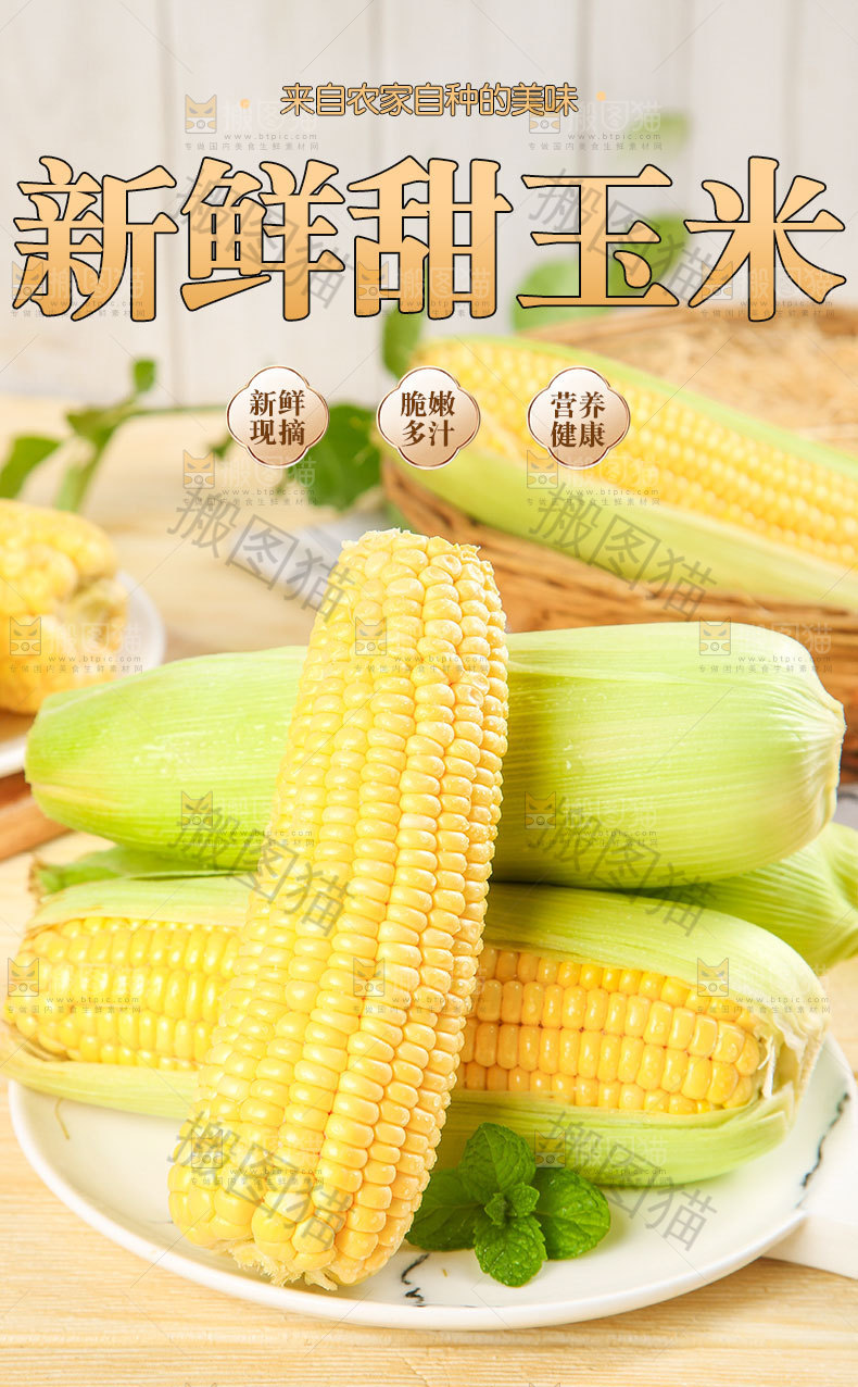 新鲜甜玉米详情