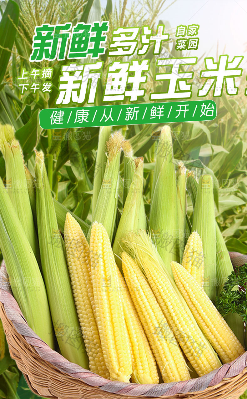 玉米笋详情页