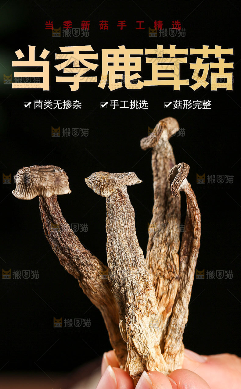 干鹿茸菇详情页