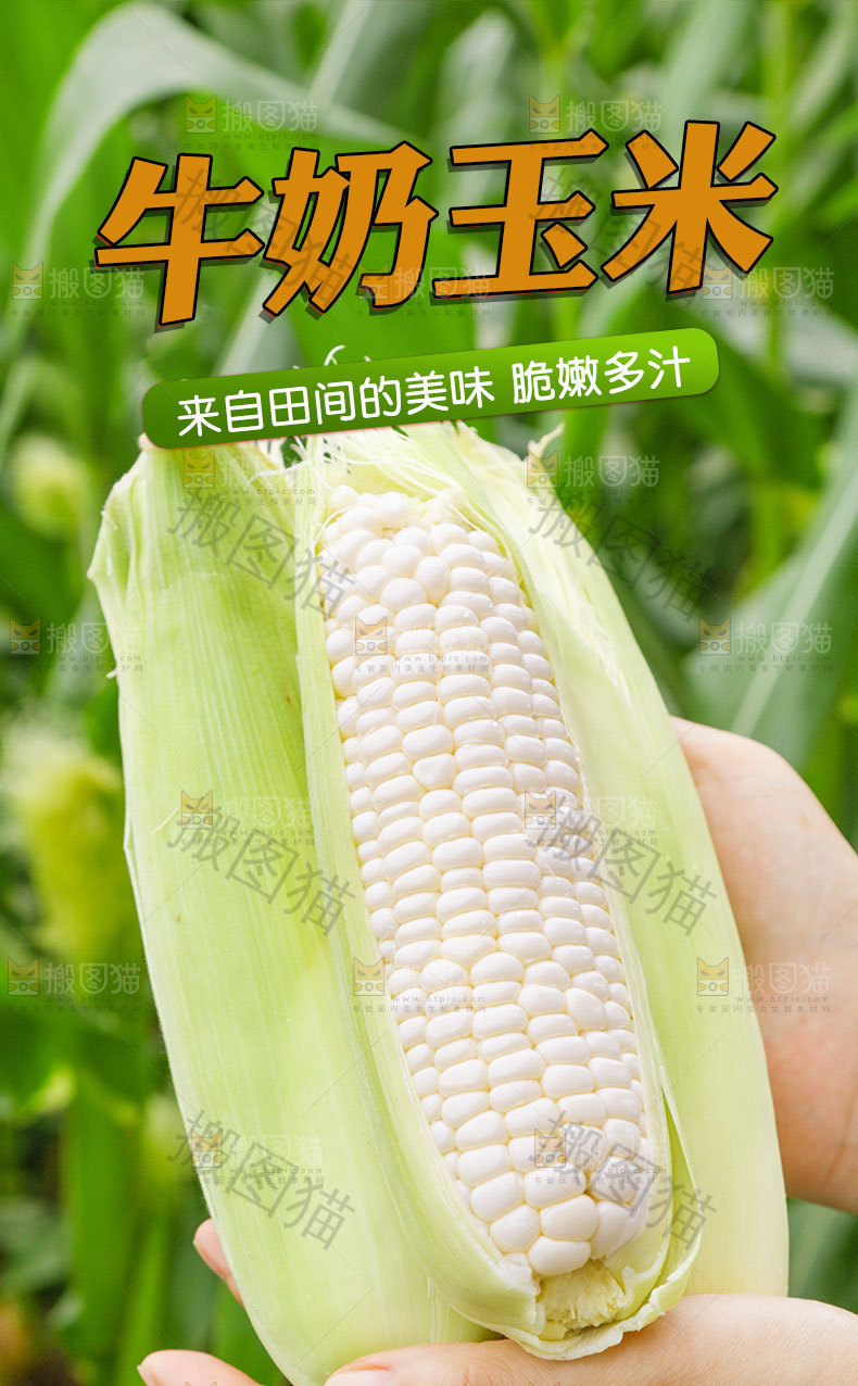 牛奶玉米详情页