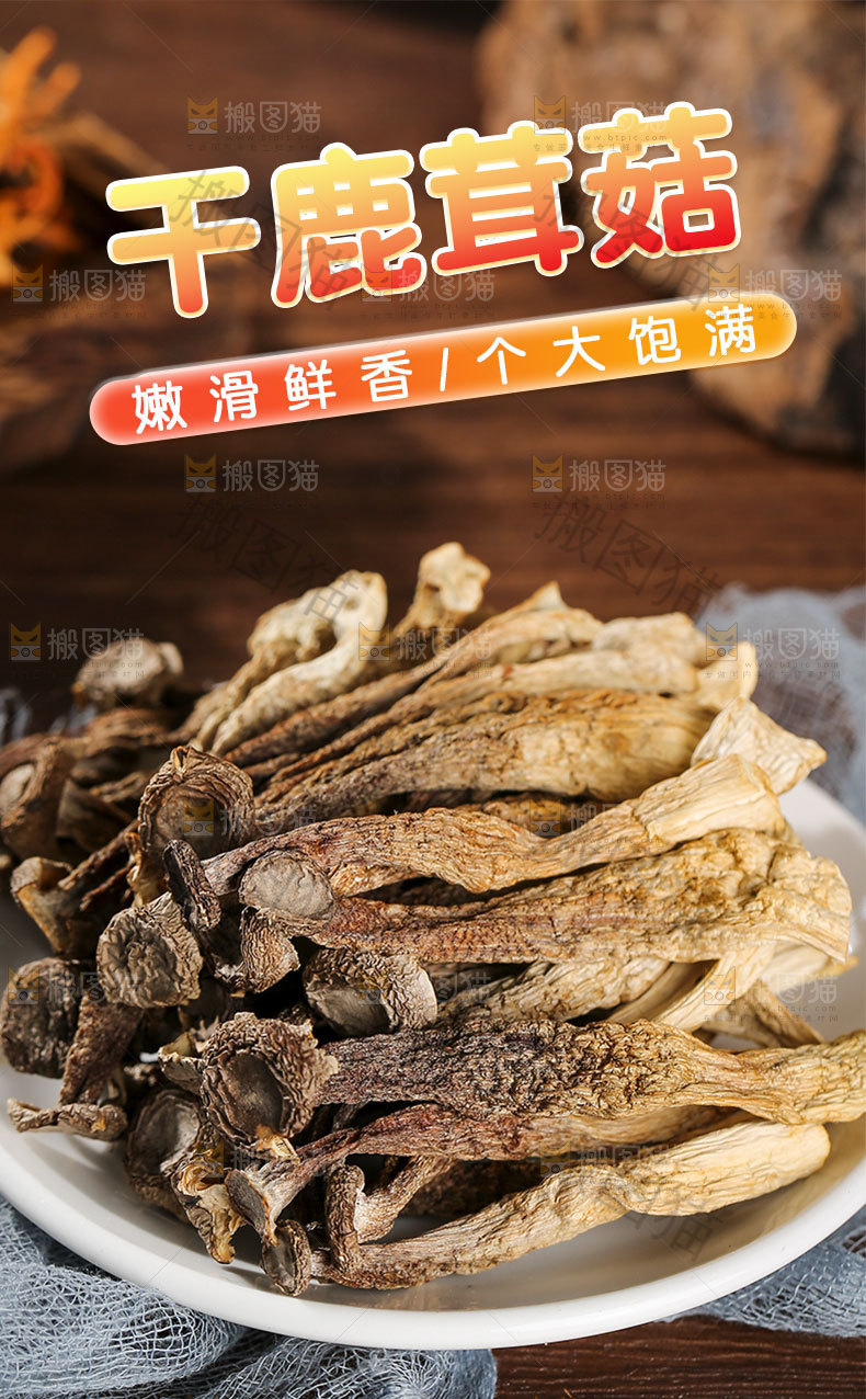鹿茸菇详情页