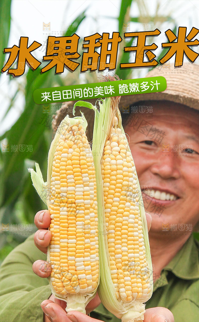 新鲜甜玉米详情页