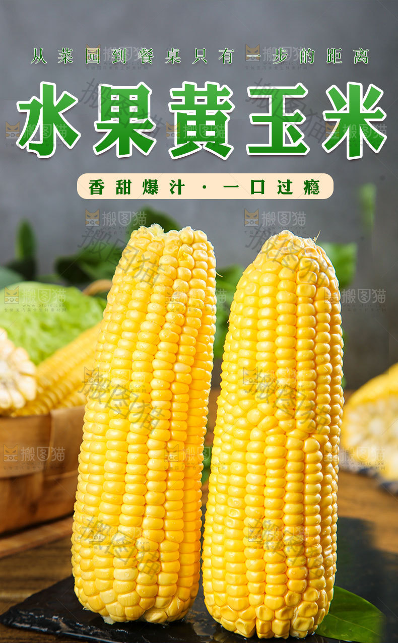甜玉米详情页设计