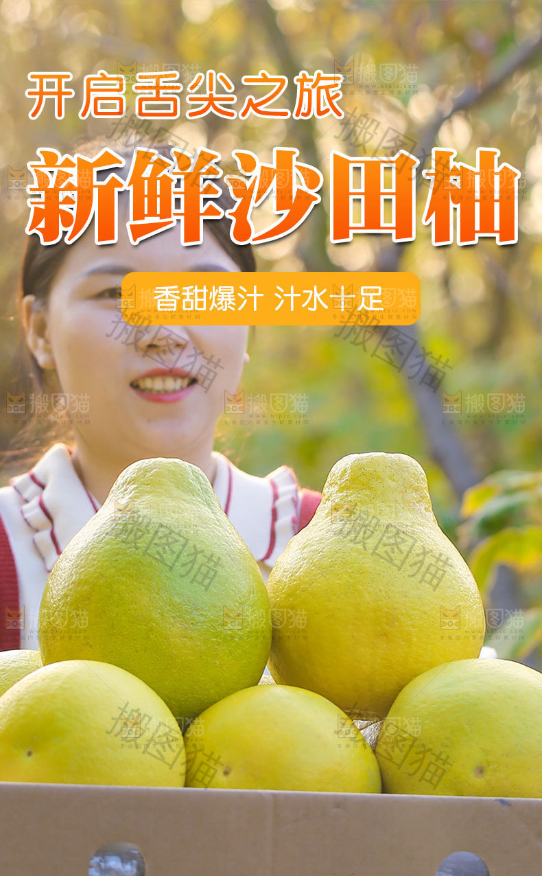 沙田蜜柚详情页