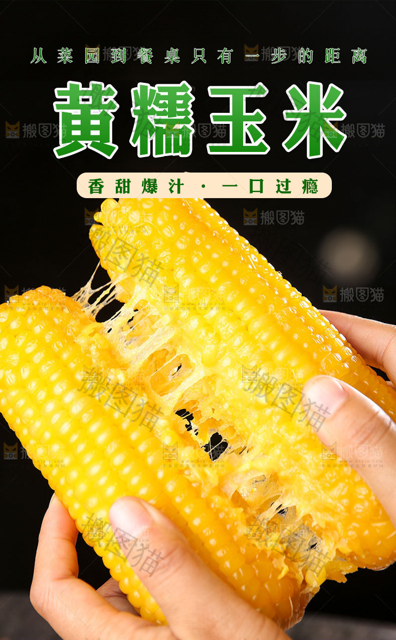 黄糯玉米详情页