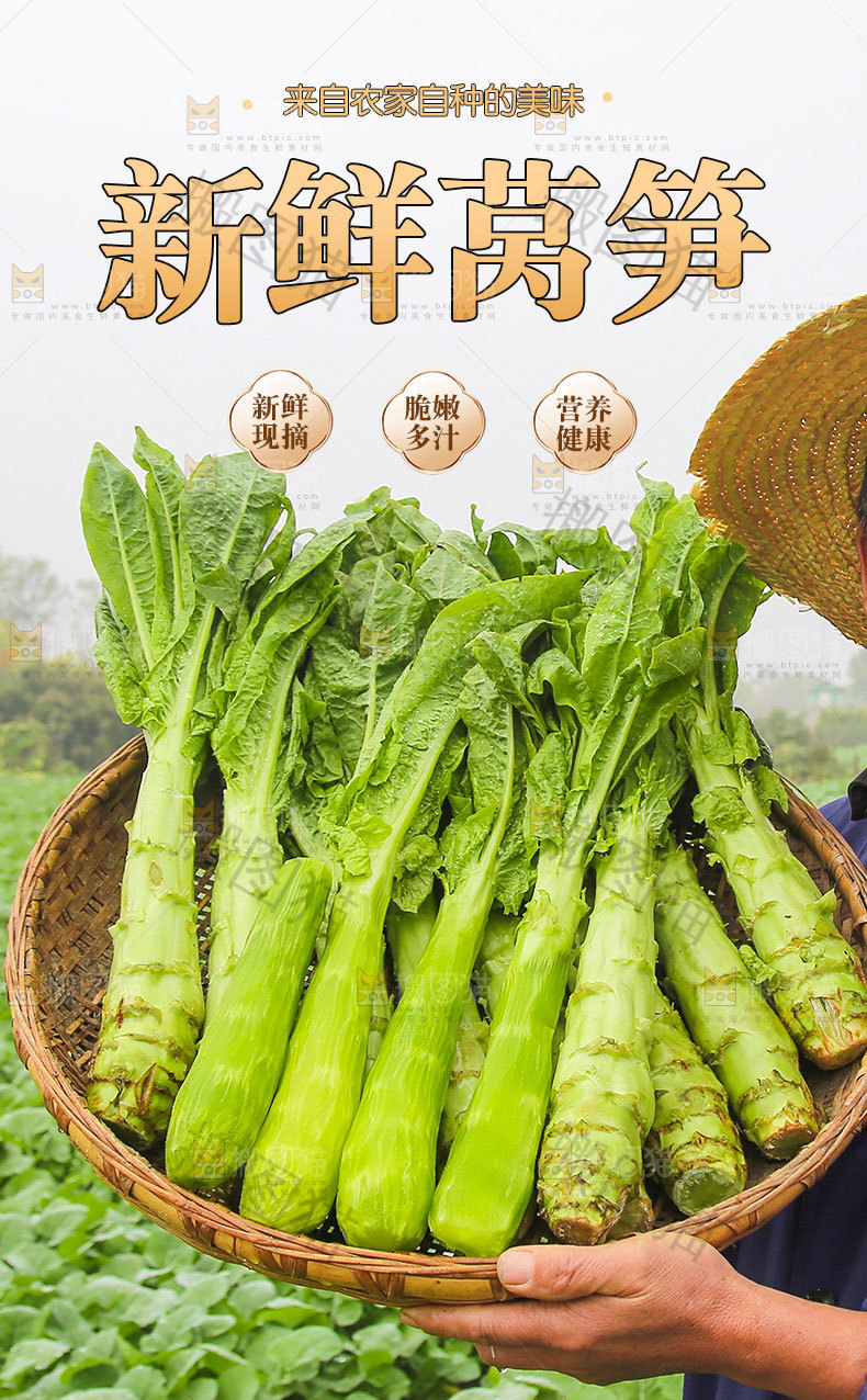 莴笋详情页设计