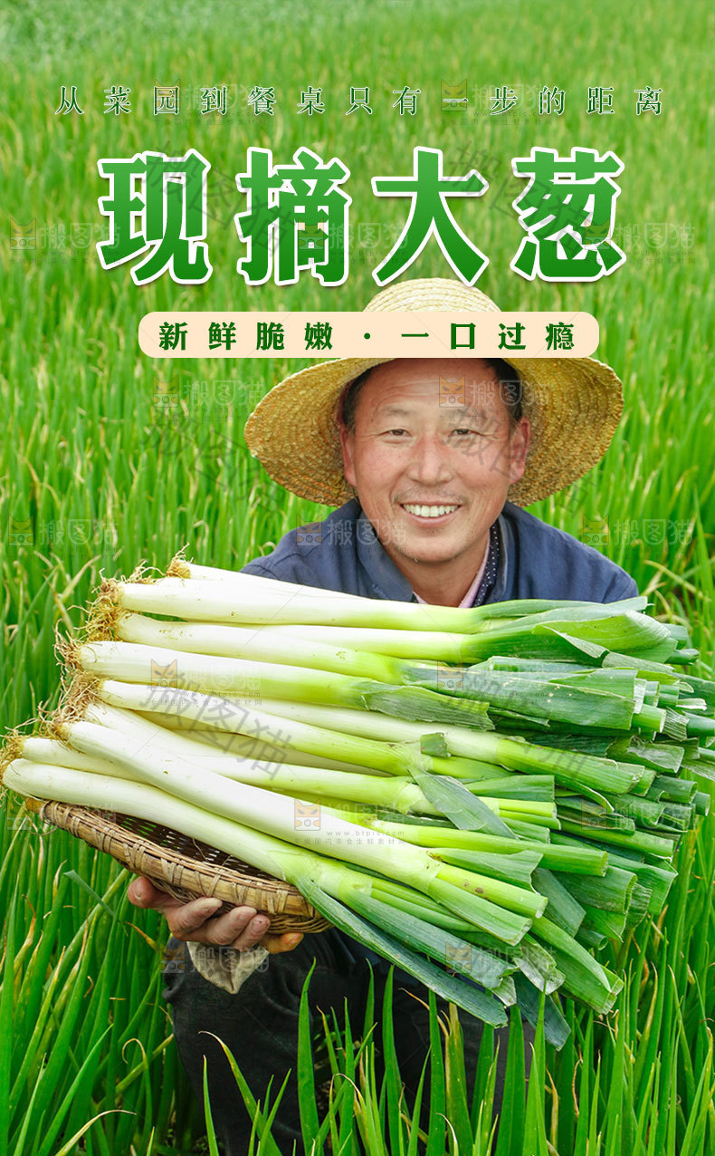 新鲜大葱详情页设计