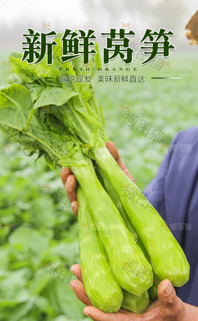 莴笋详情页设计