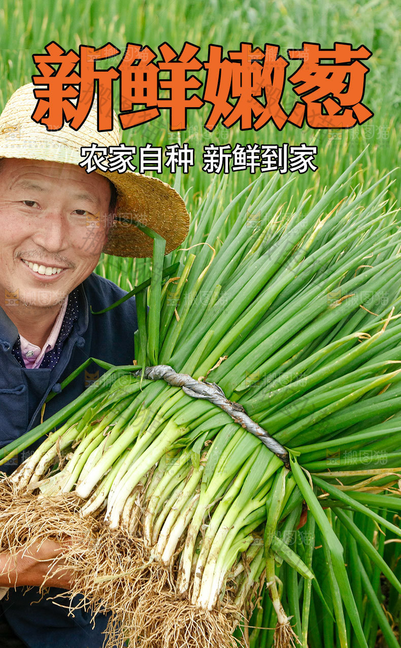 嫩葱详情页设计