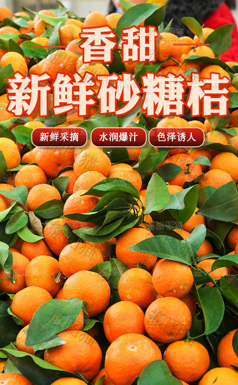 砂糖桔详情页