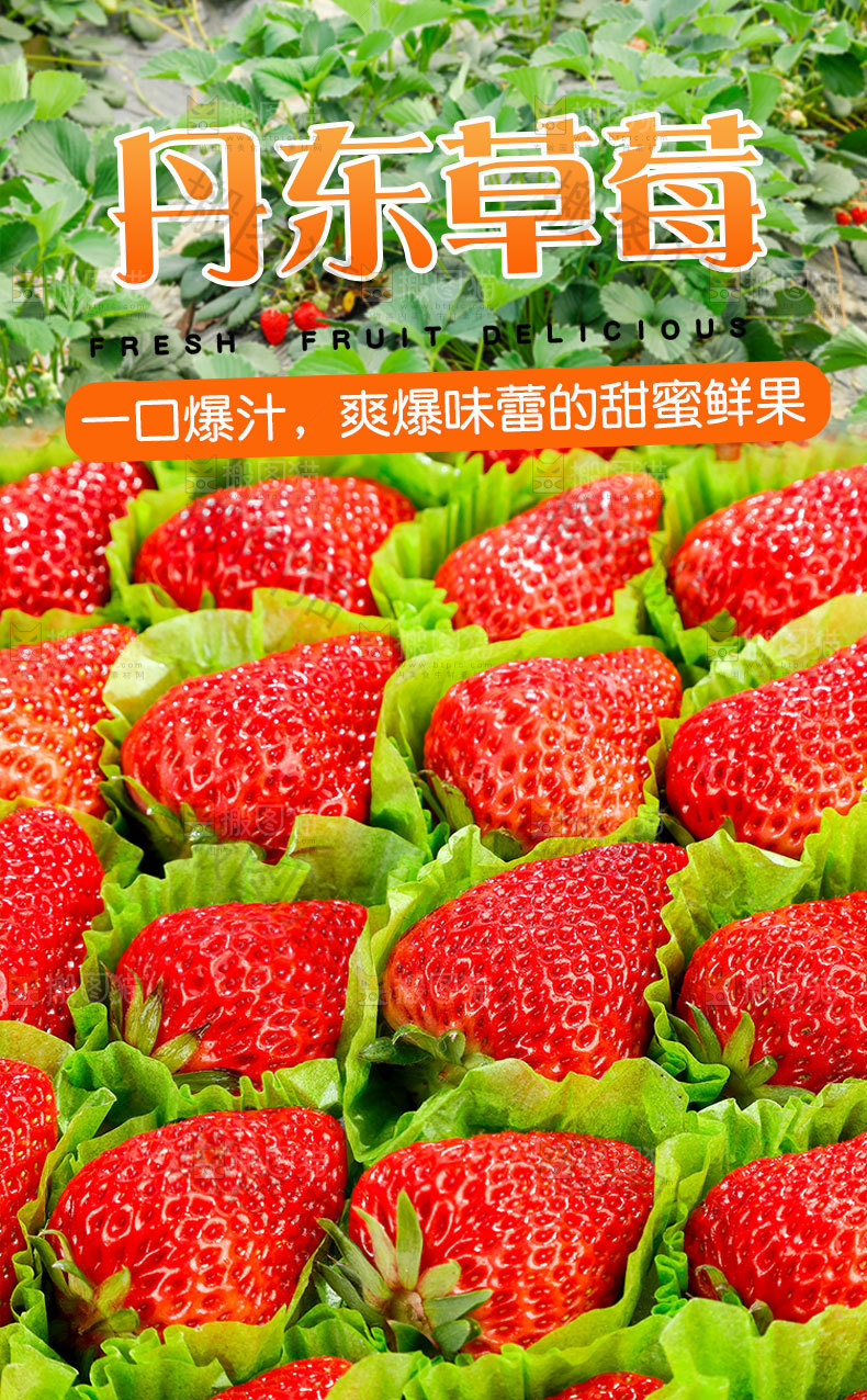 丹东草莓详情页