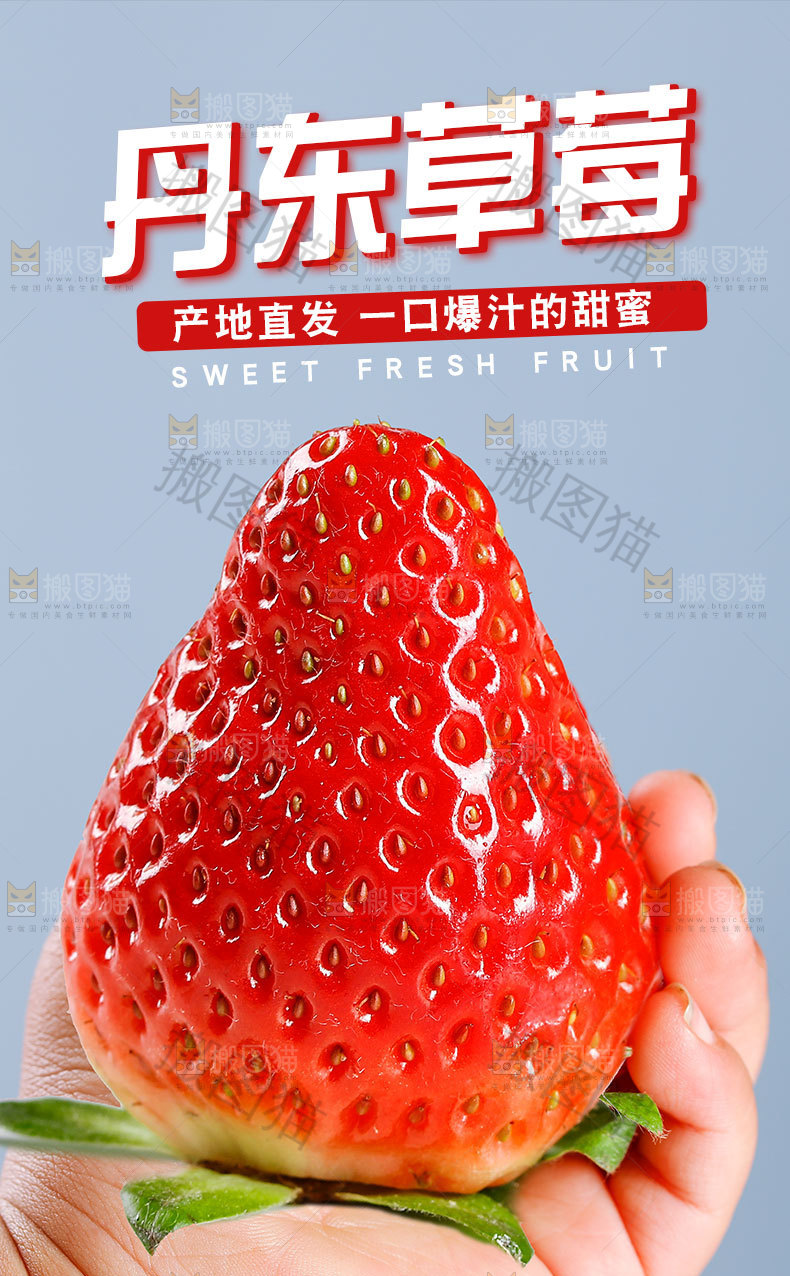 丹东草莓详情页