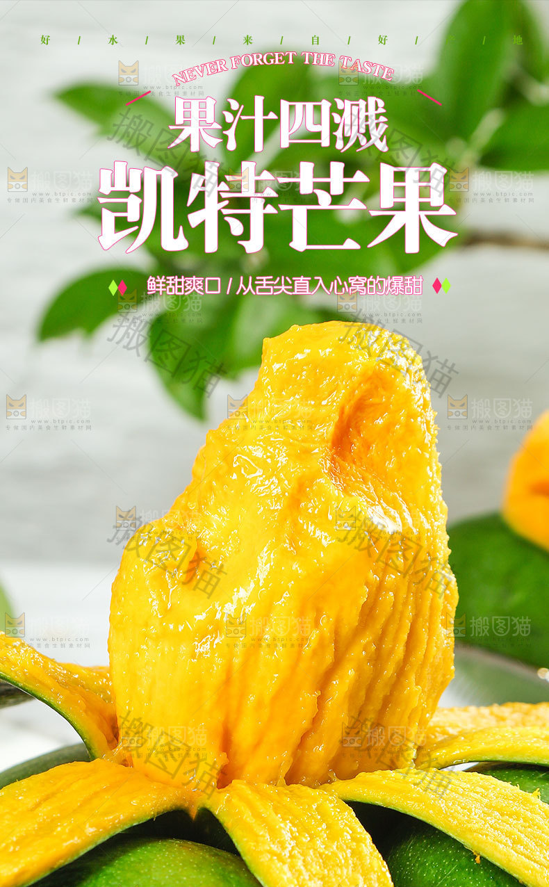 凯特芒详情页