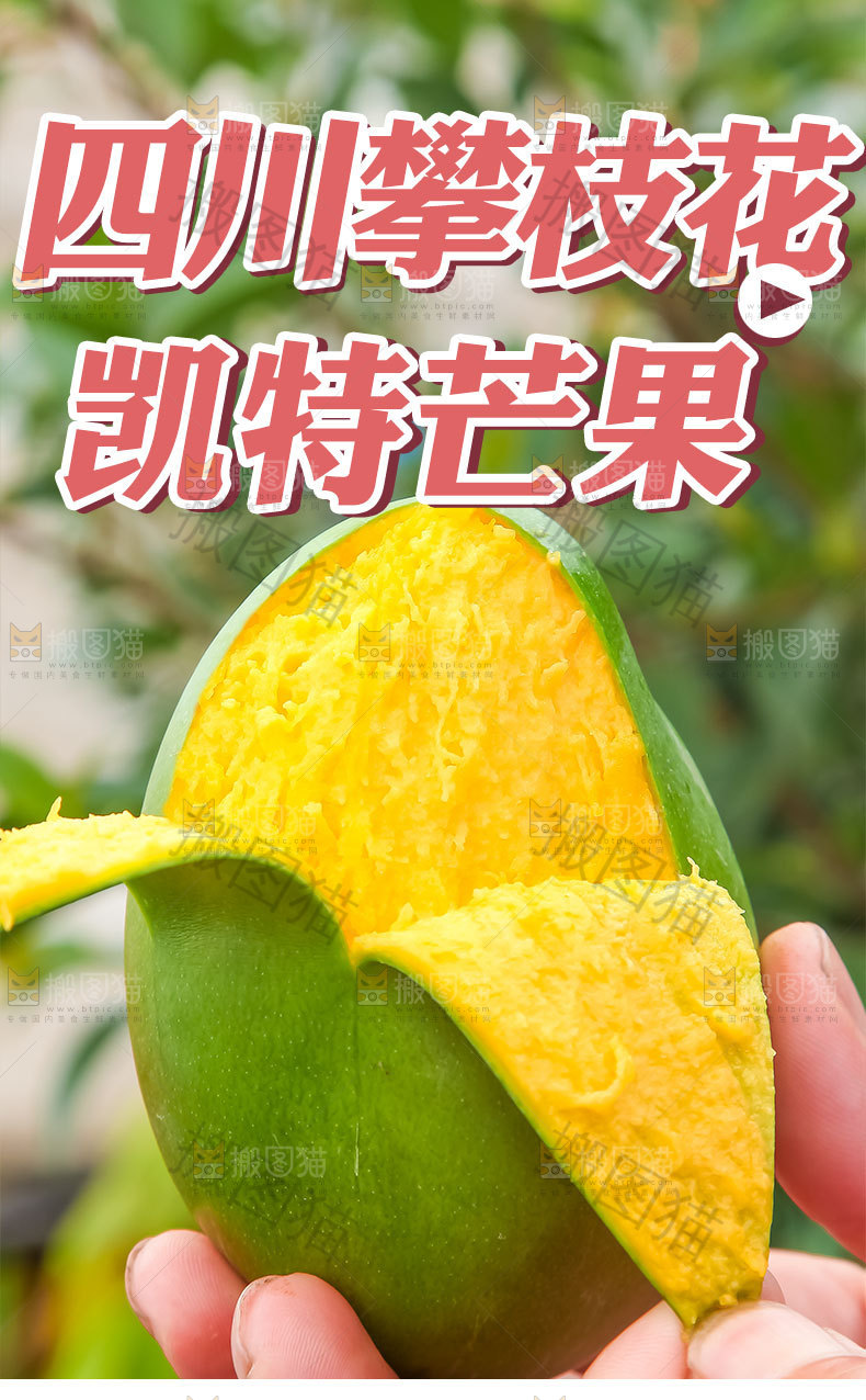 攀枝花凯特芒详情
