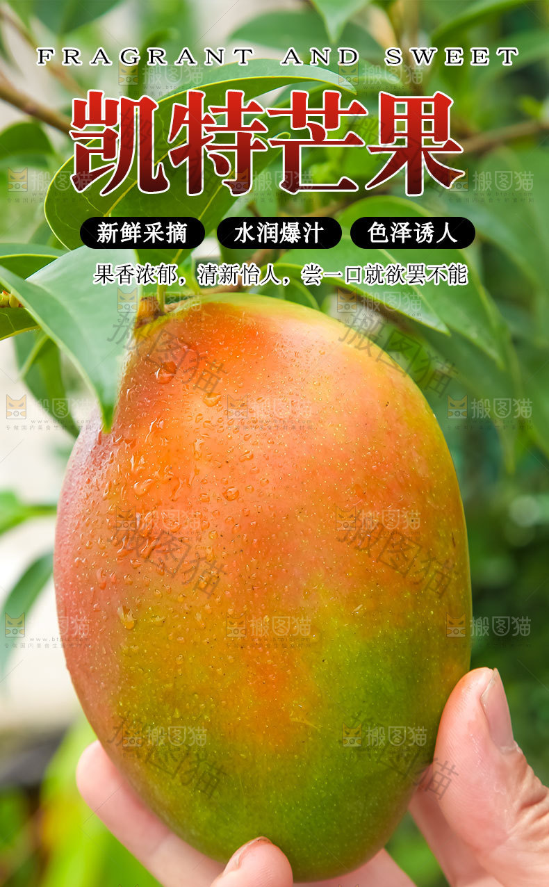 凯特芒果详情页