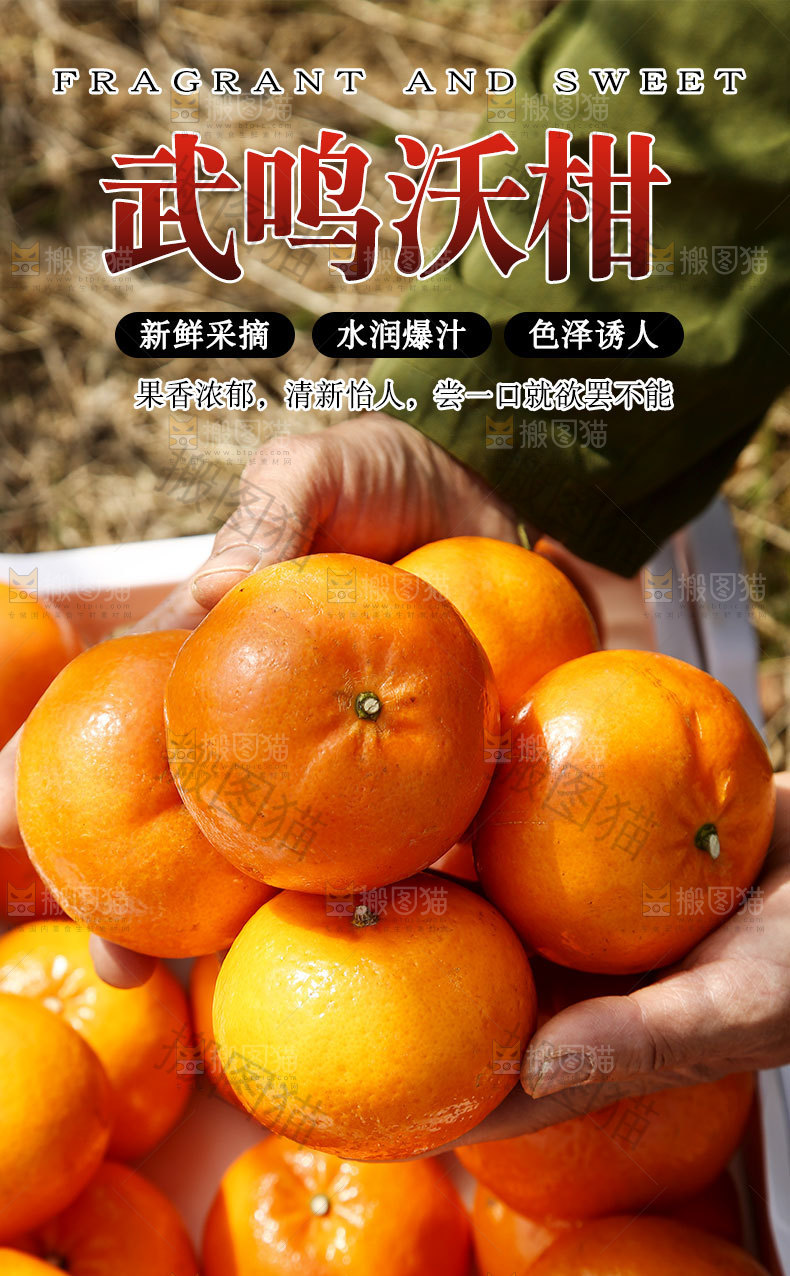 武鸣沃柑详情页