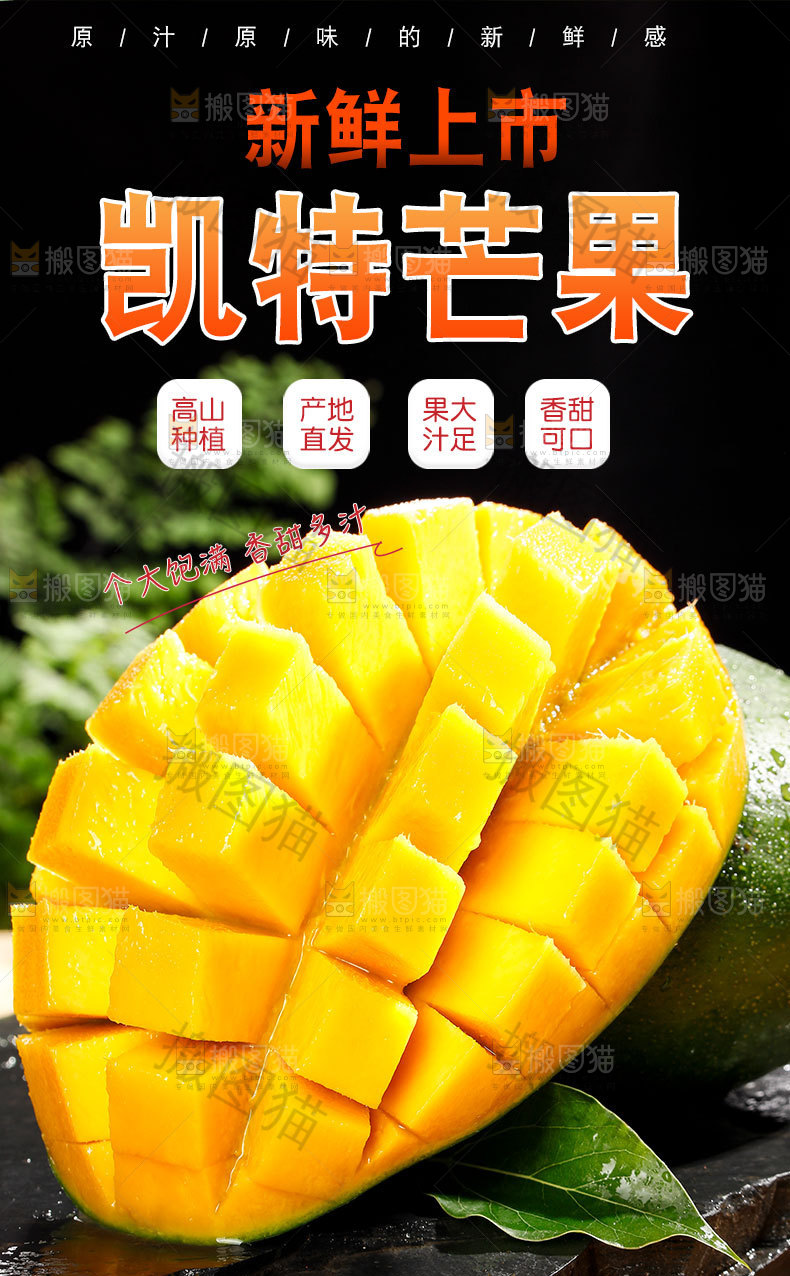 凯特芒详情页