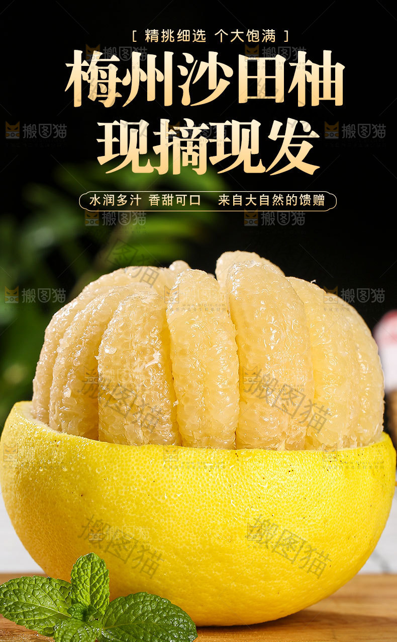 梅州沙田柚详情页