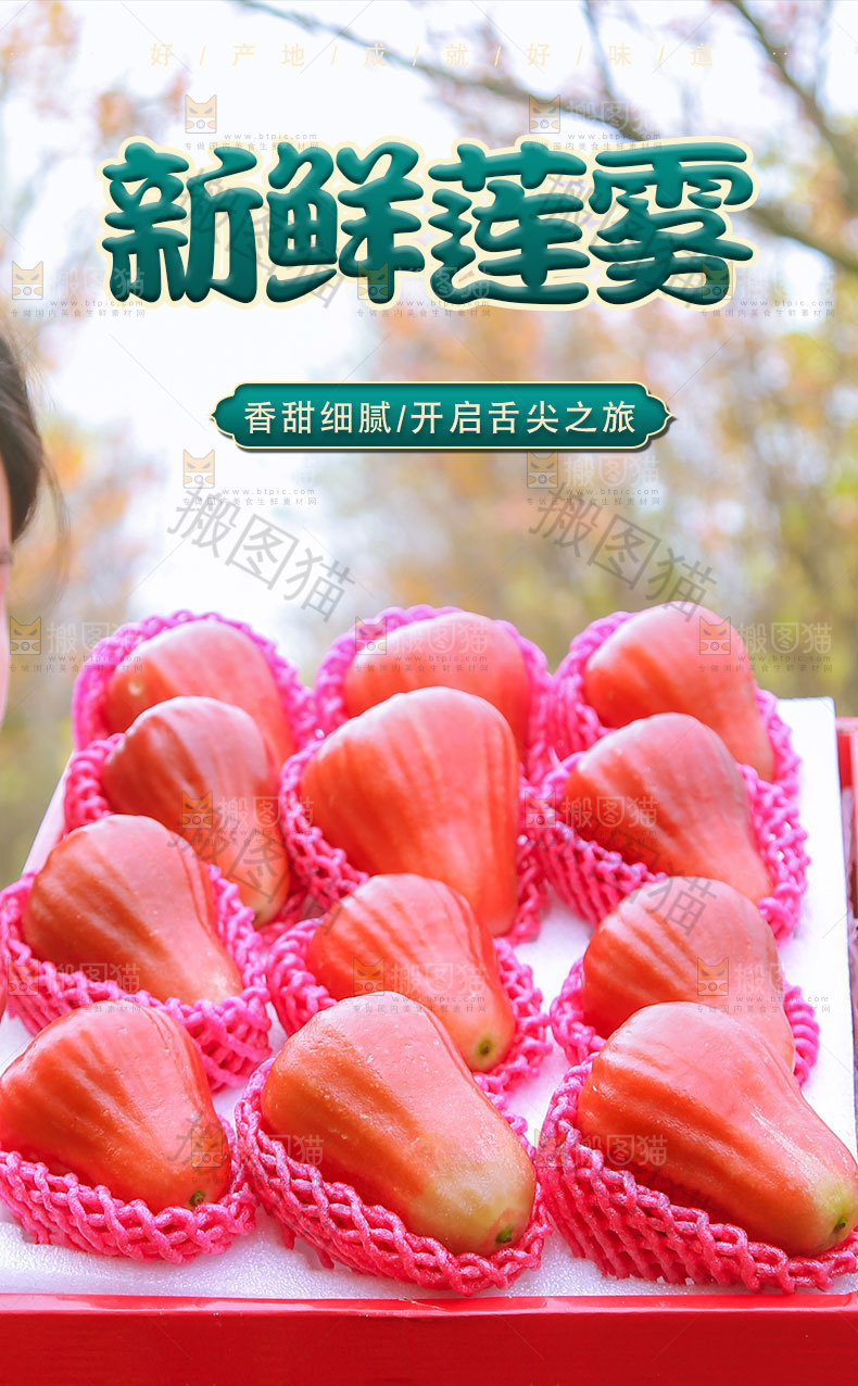 莲雾详情页设计