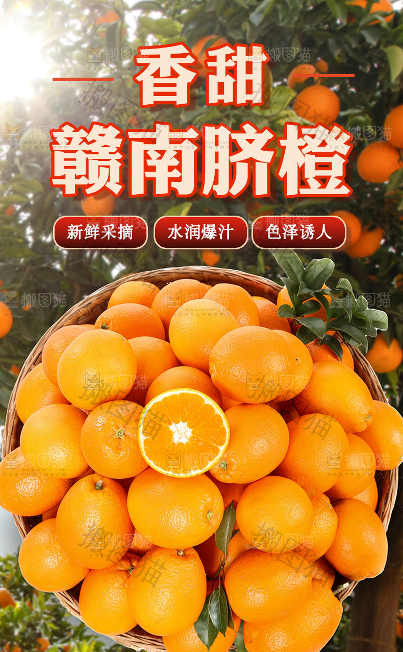 赣南脐橙详情页