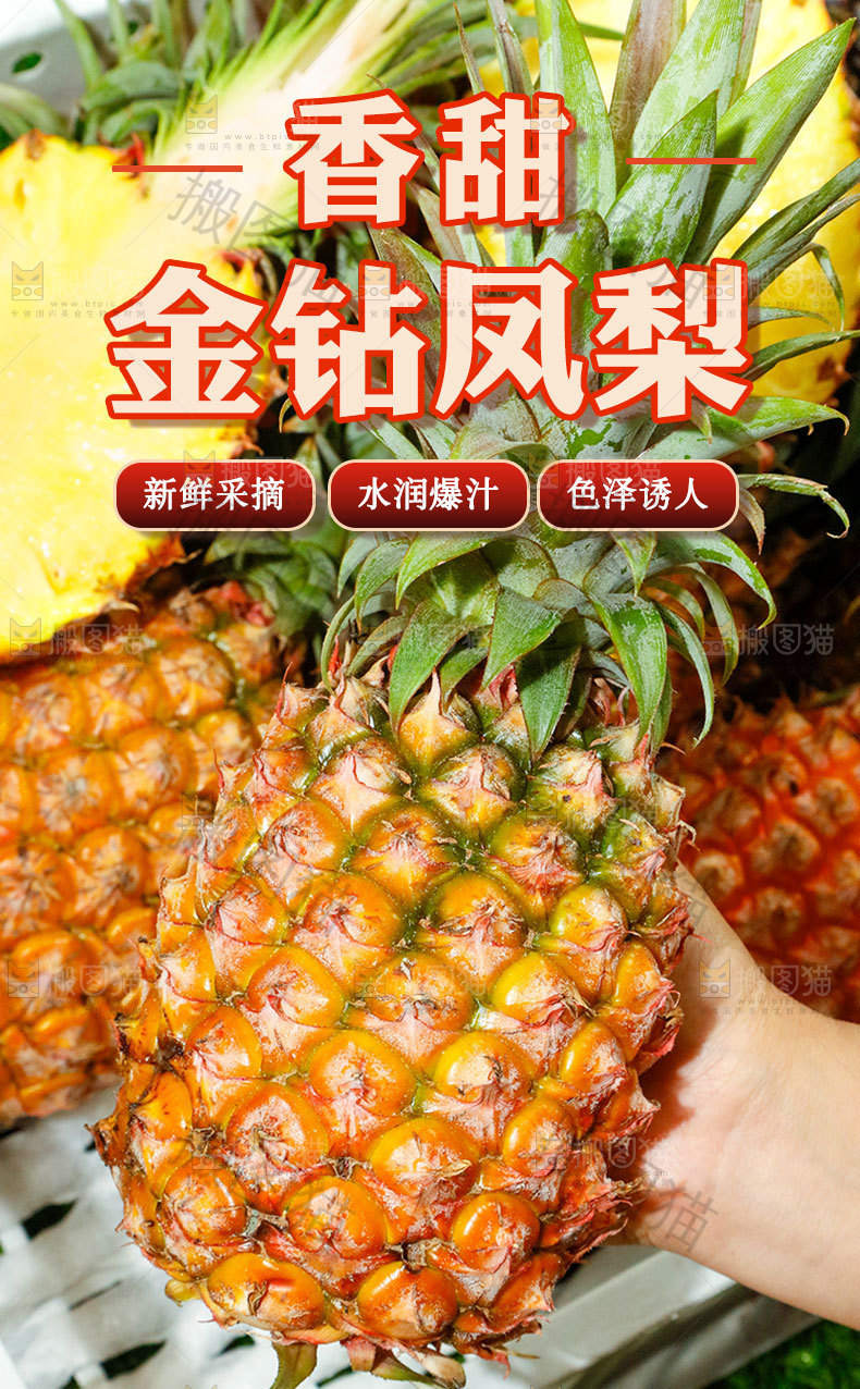 金钻凤梨详情页