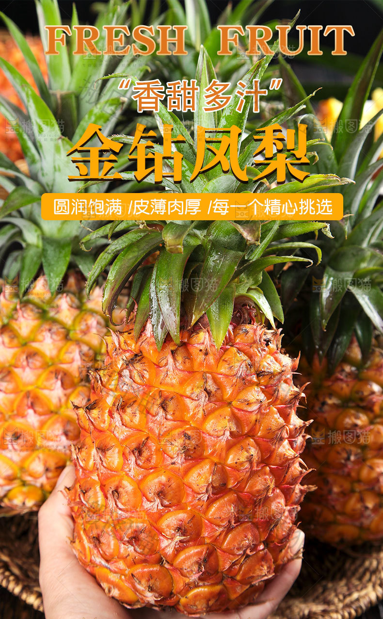 金钻凤梨详情页