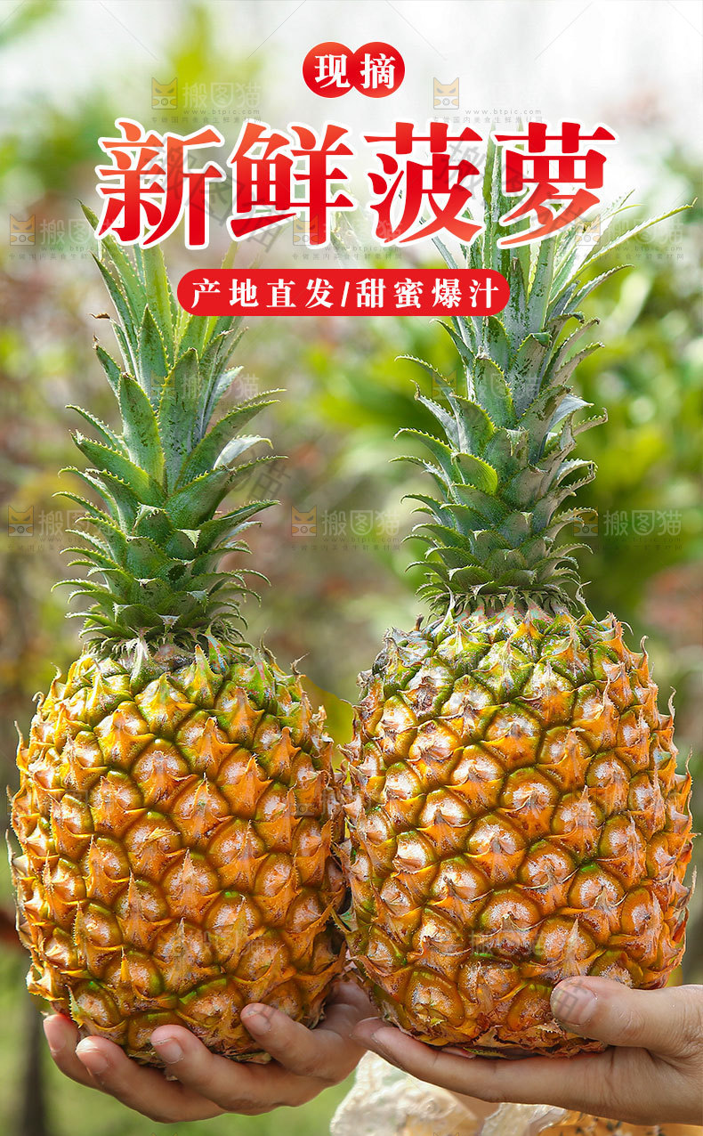 菠萝详情页设计
