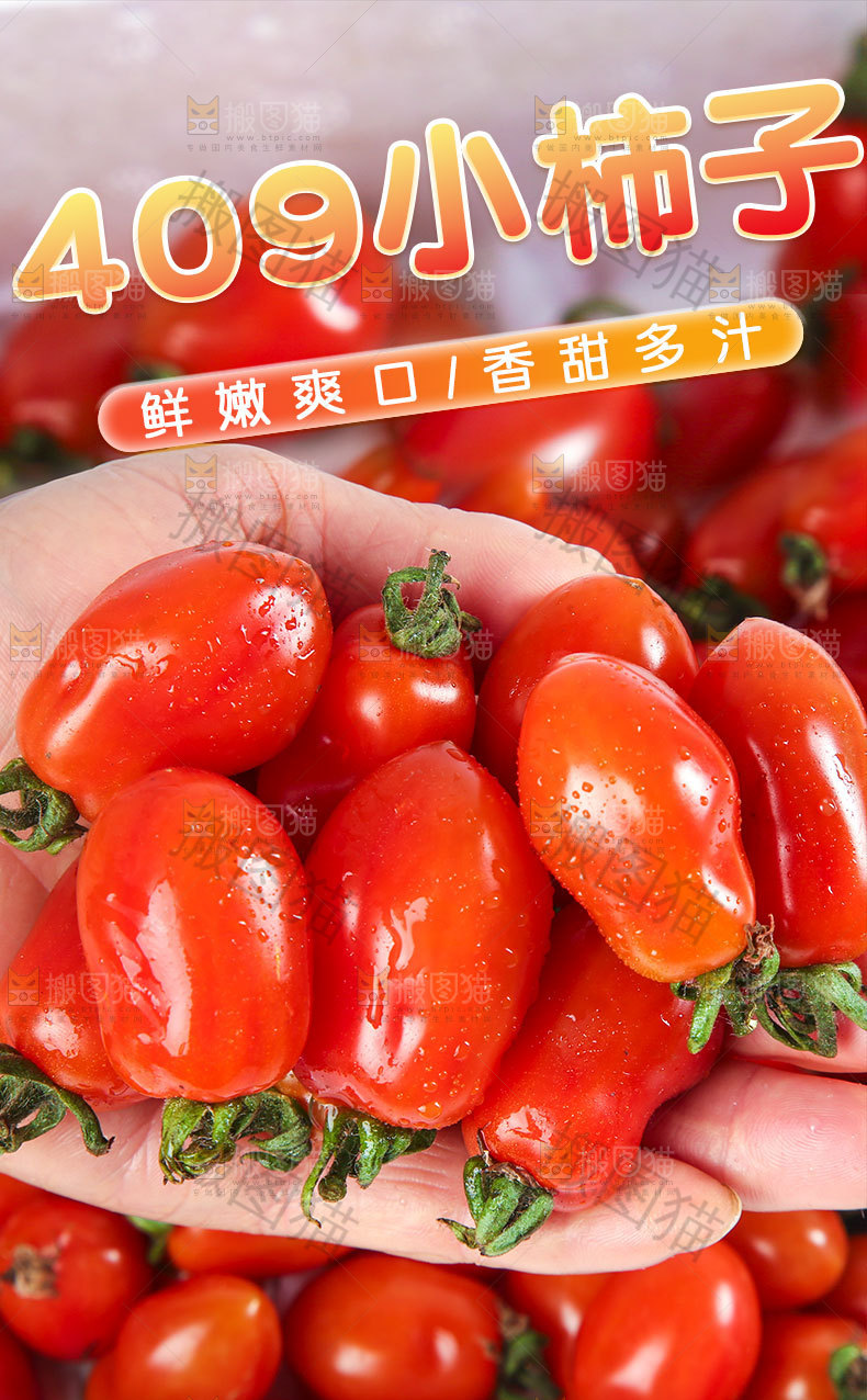 丹东小柿子详情