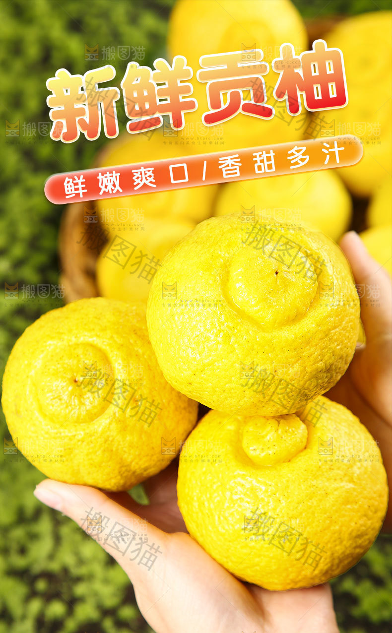 新鲜贡柚详情页