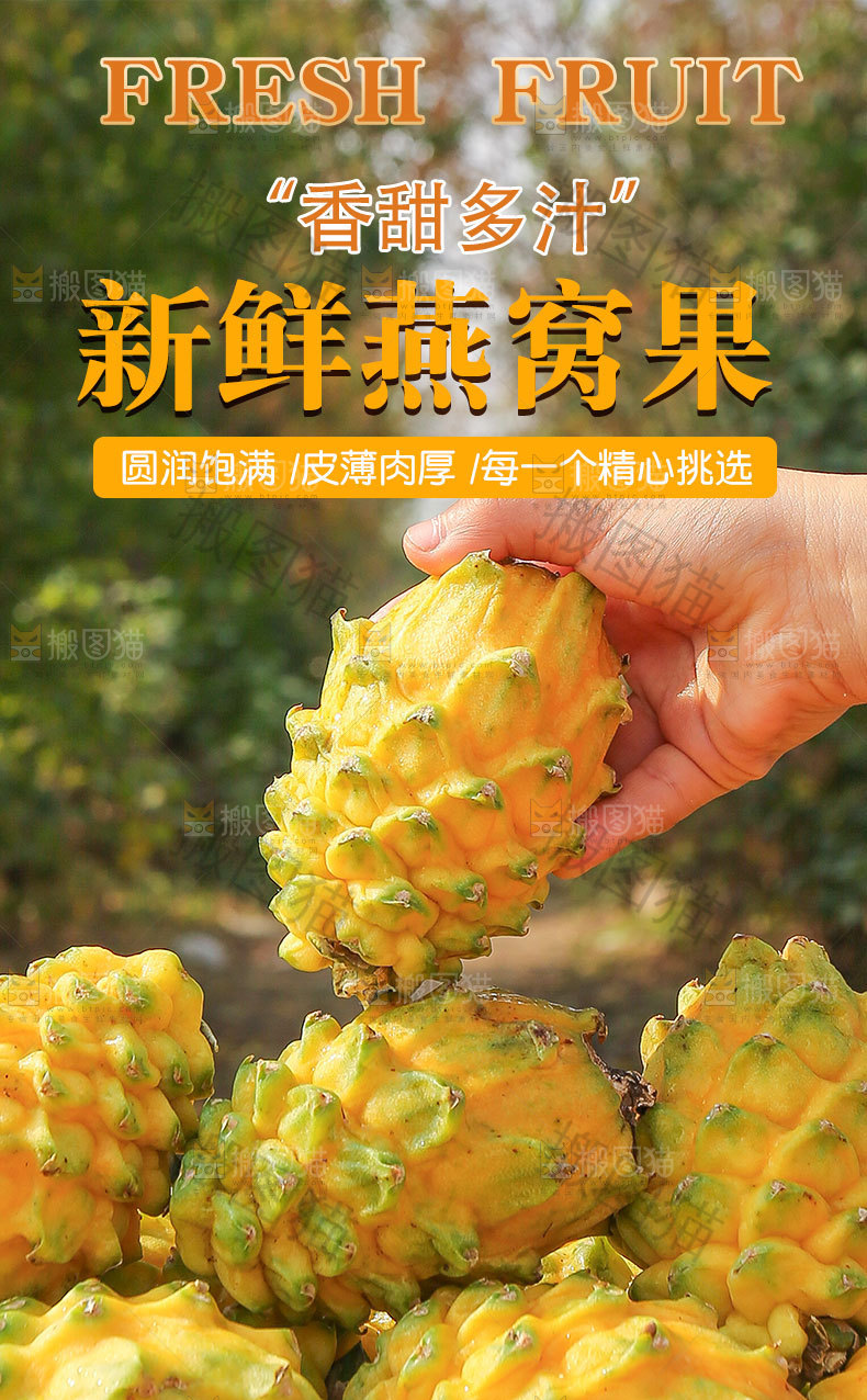 燕窝果详情页