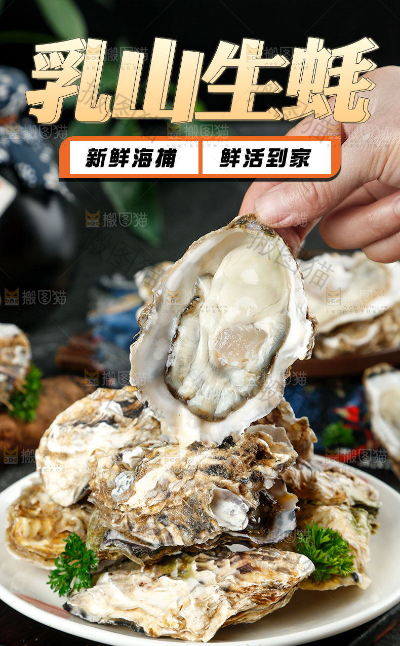 新鲜生蚝详情页