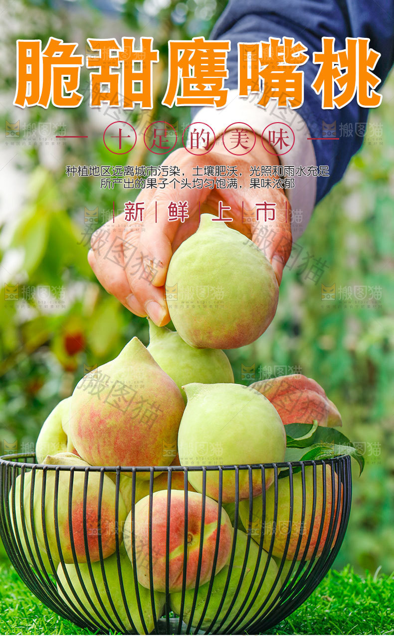 脆甜鹰嘴桃详情页