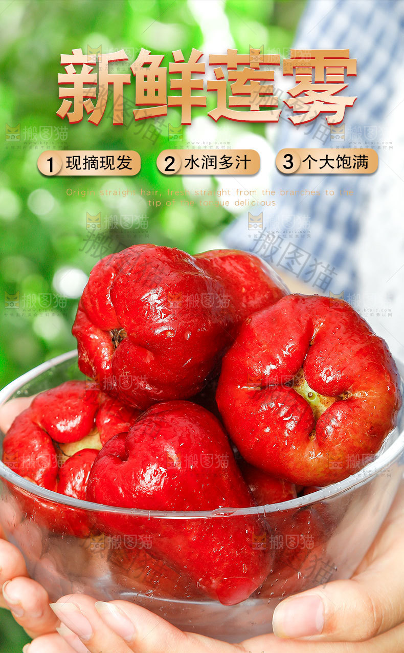 新鲜莲雾详情页