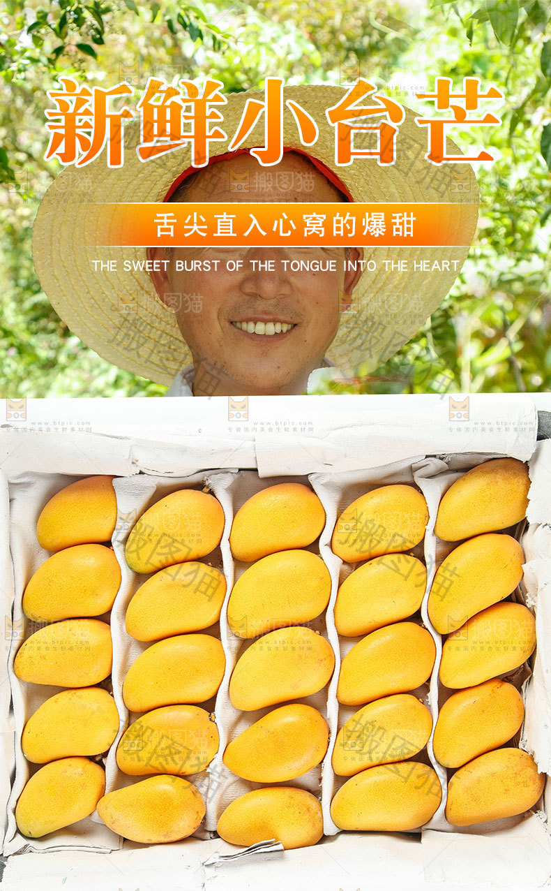 新鲜小台芒详情页