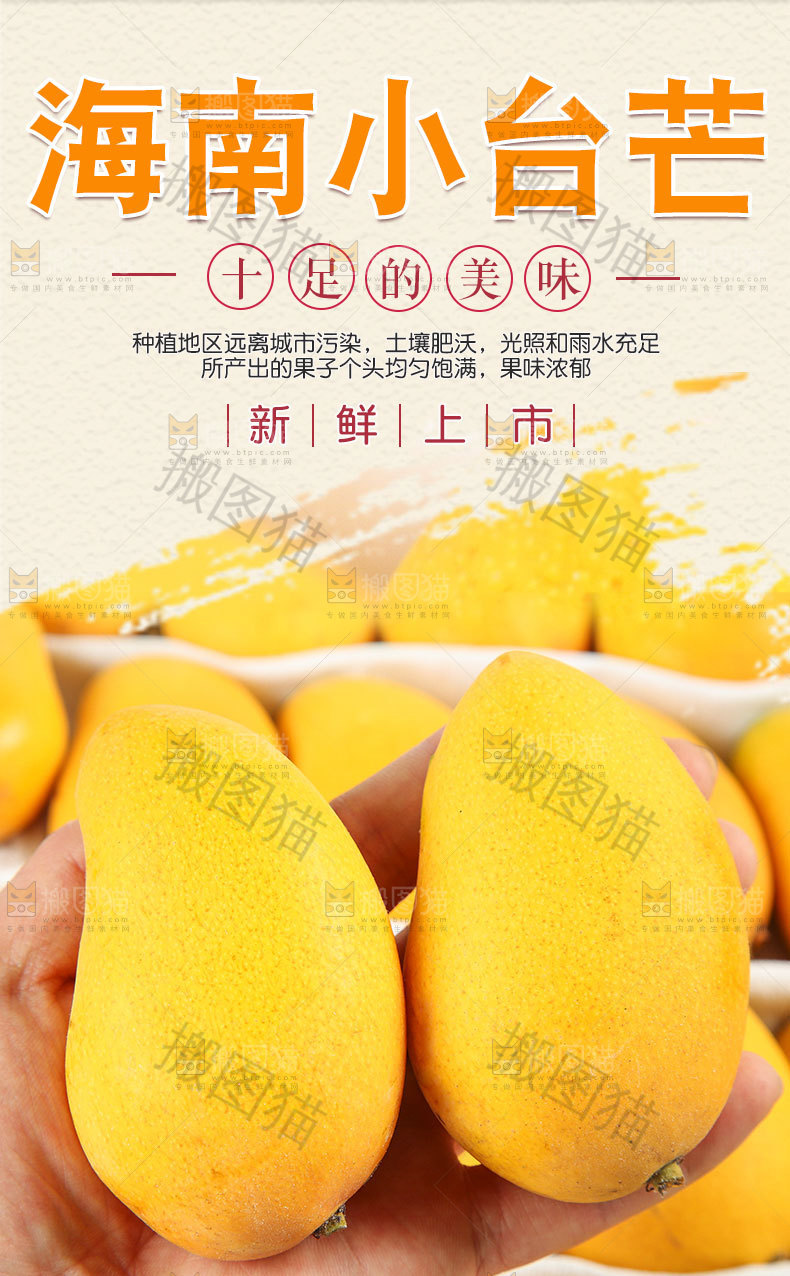 海南小台芒详情页