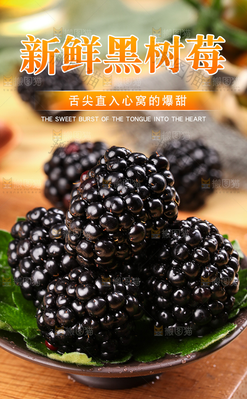 黑树莓详情页