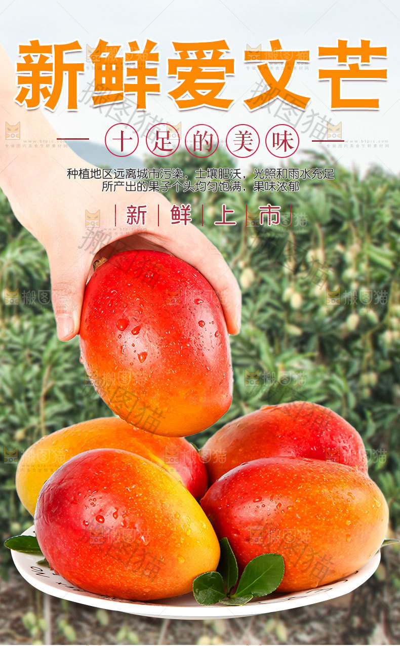 新鲜爱文芒详情页